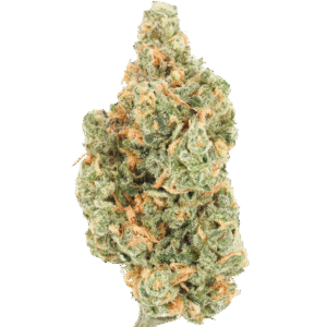 BLUE DREAM