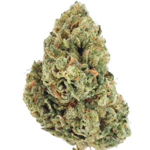 Larry Bird |1 Ounce